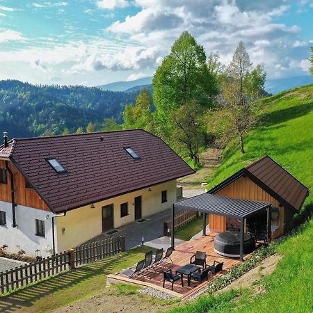 Villa Richterberg With Sauna & Hot Tub Slovenj Gradec Exteriör bild