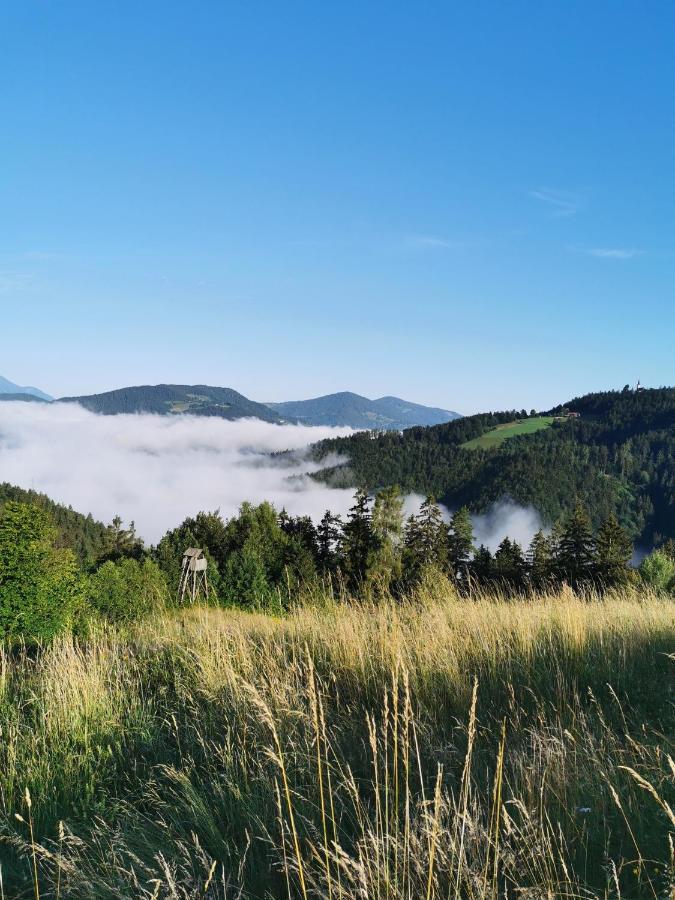 Villa Richterberg With Sauna & Hot Tub Slovenj Gradec Exteriör bild