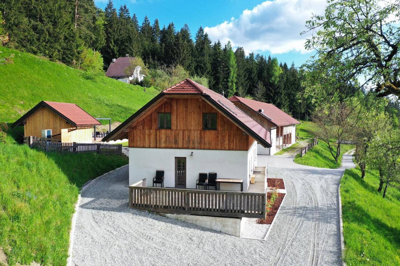 Villa Richterberg With Sauna & Hot Tub Slovenj Gradec Exteriör bild