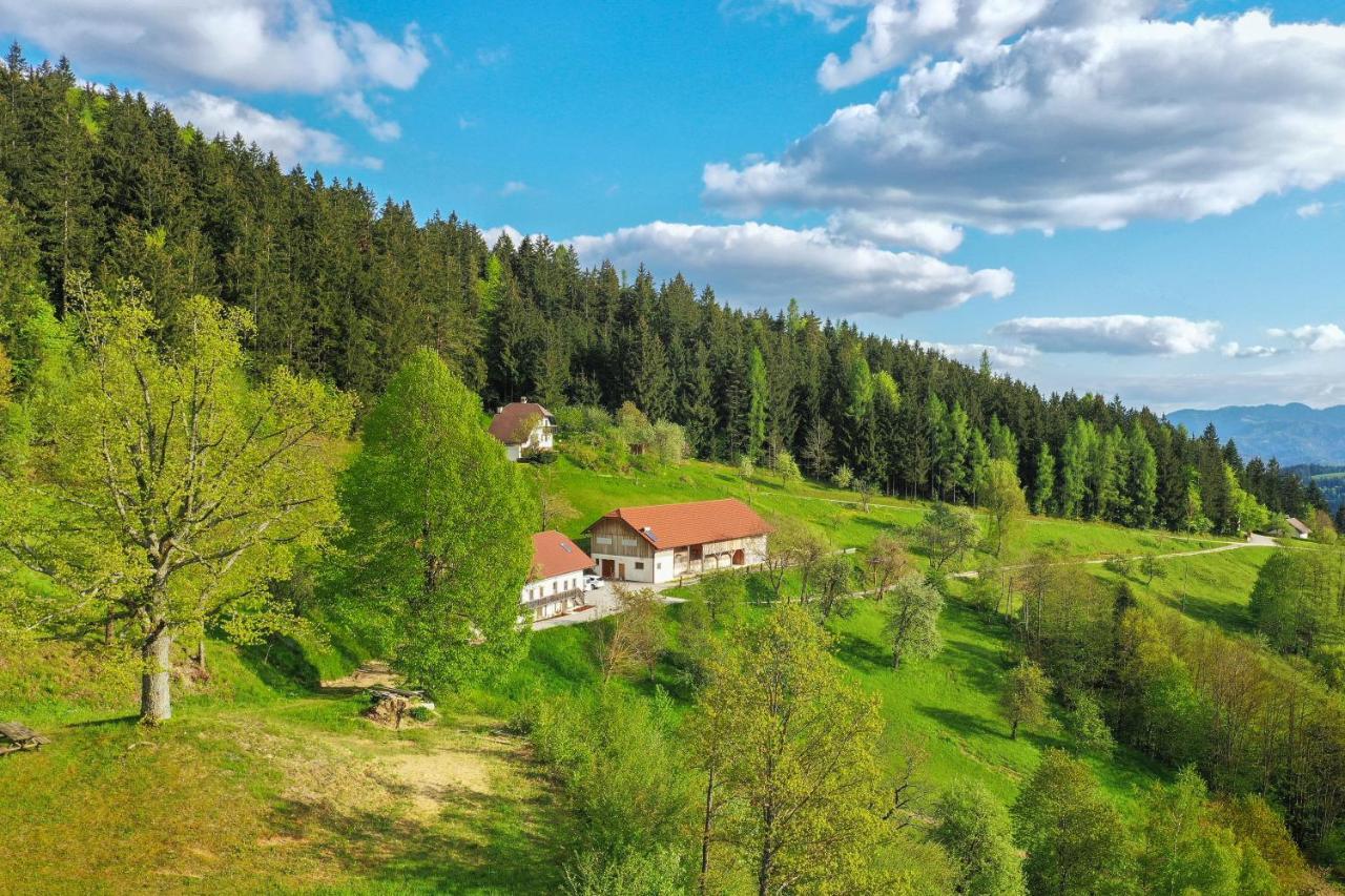 Villa Richterberg With Sauna & Hot Tub Slovenj Gradec Exteriör bild