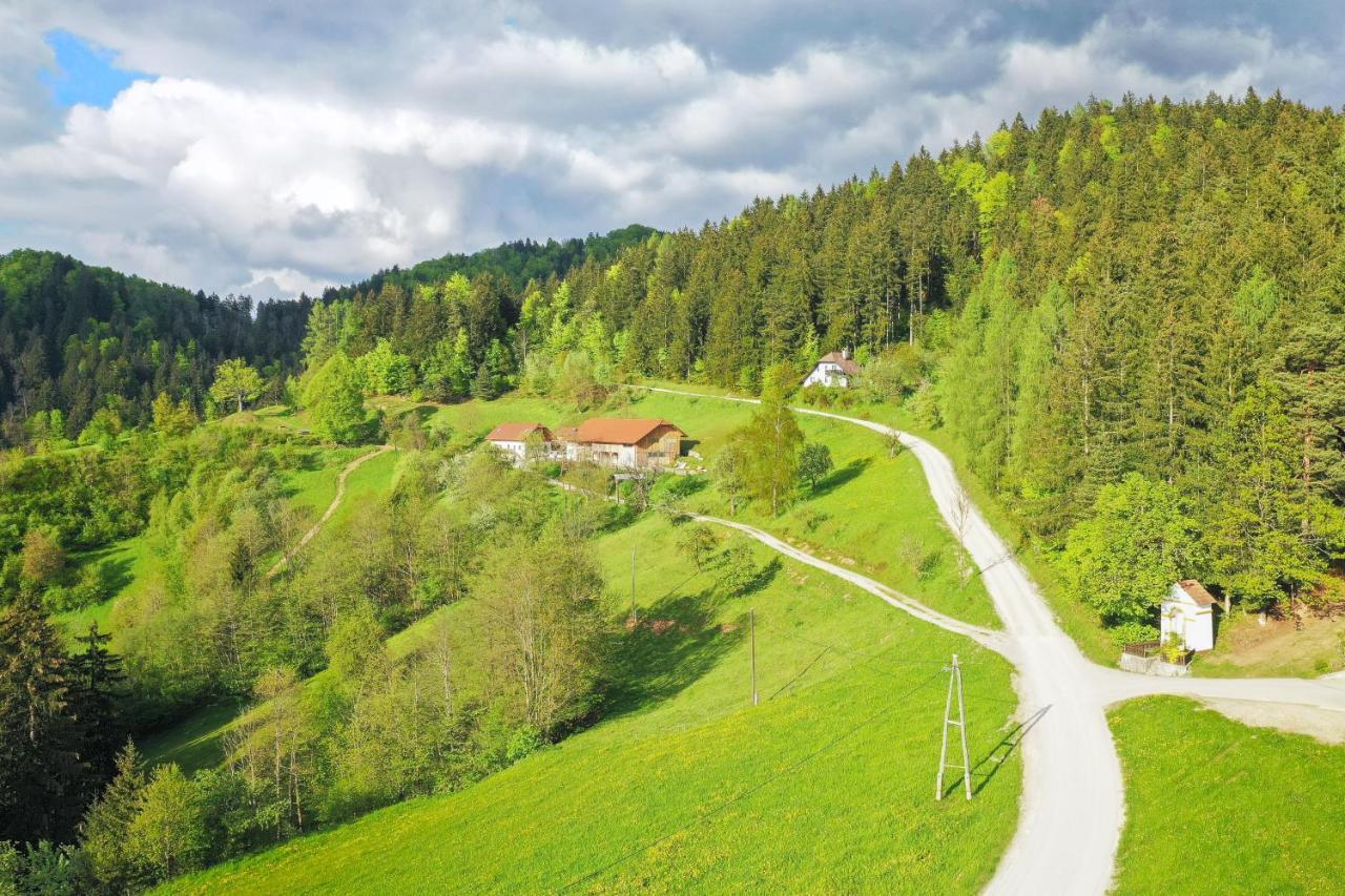 Villa Richterberg With Sauna & Hot Tub Slovenj Gradec Exteriör bild