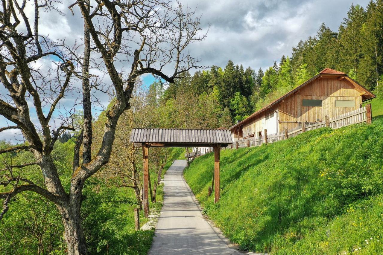 Villa Richterberg With Sauna & Hot Tub Slovenj Gradec Exteriör bild